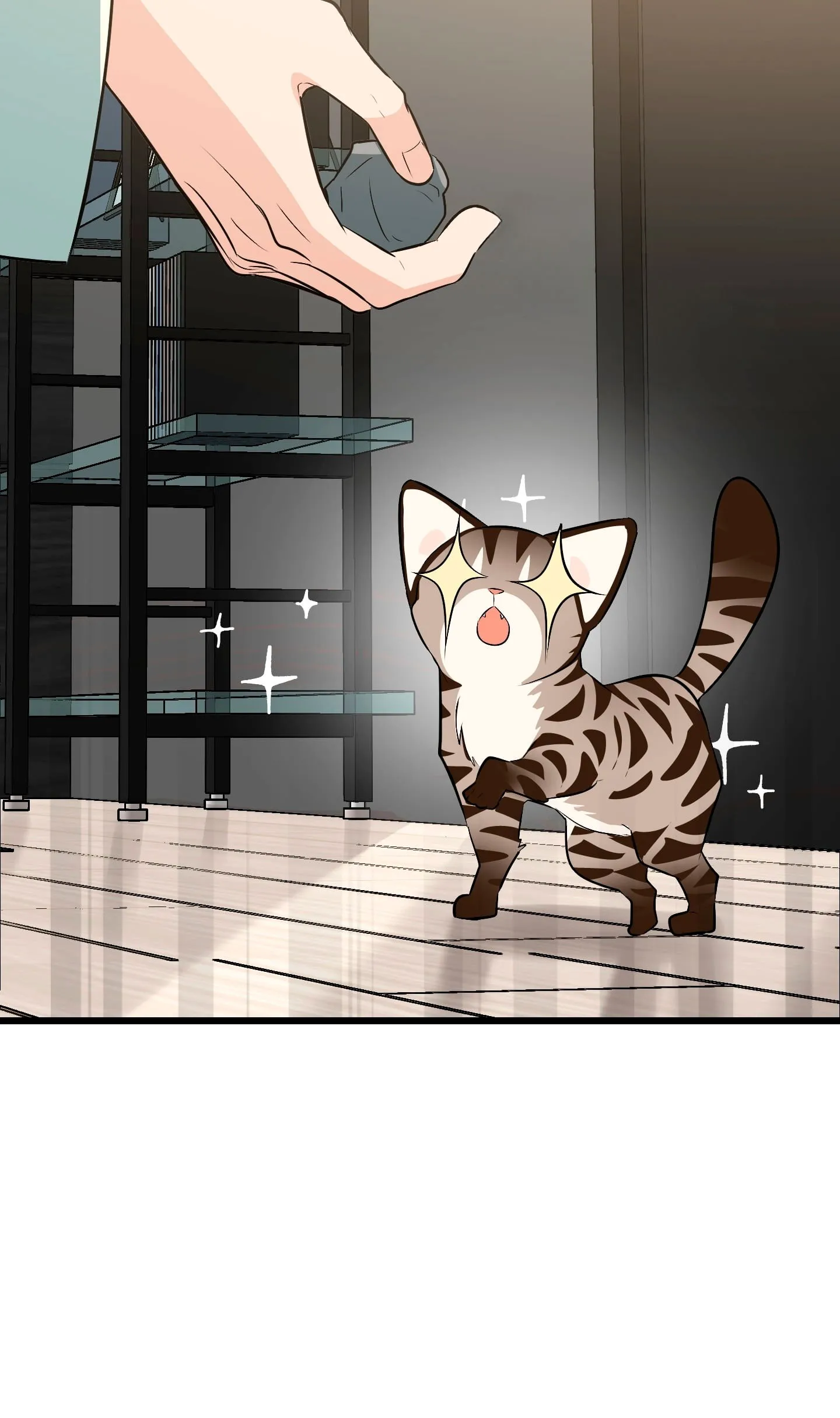 14 ¡Dame un cachorro leopardo si no quieres verme enloquecer!