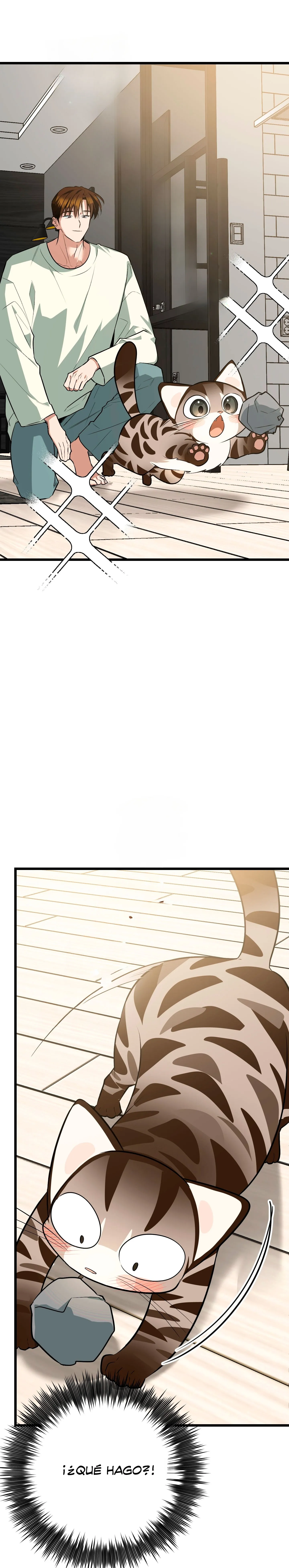 16 ¡Dame un cachorro leopardo si no quieres verme enloquecer!