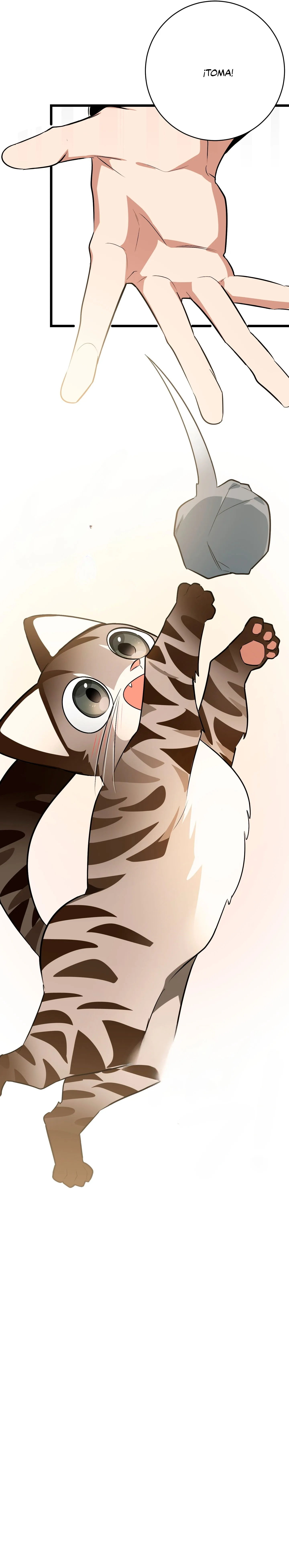 15 ¡Dame un cachorro leopardo si no quieres verme enloquecer!