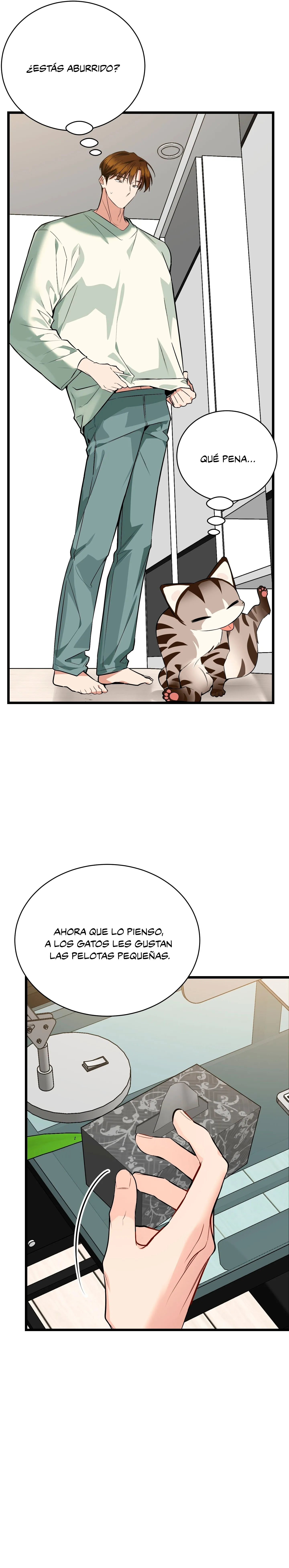 12 ¡Dame un cachorro leopardo si no quieres verme enloquecer!