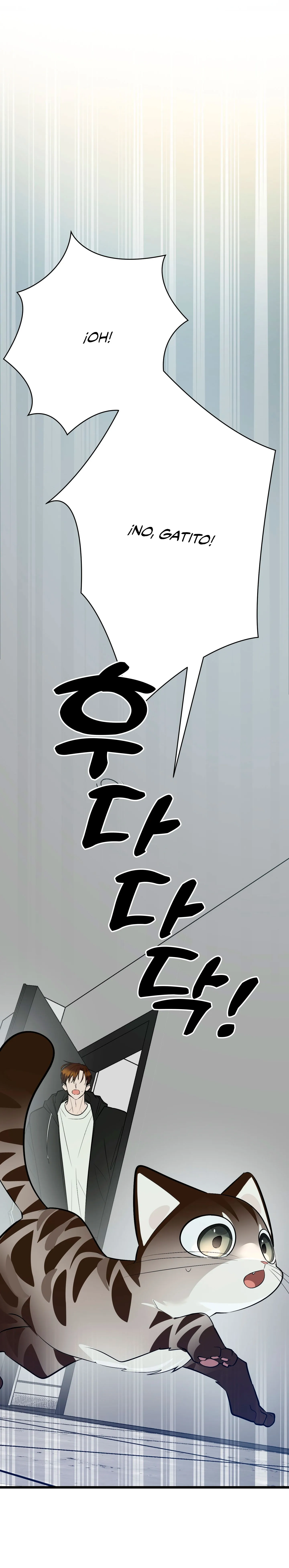 24 ¡Dame un cachorro leopardo si no quieres verme enloquecer!