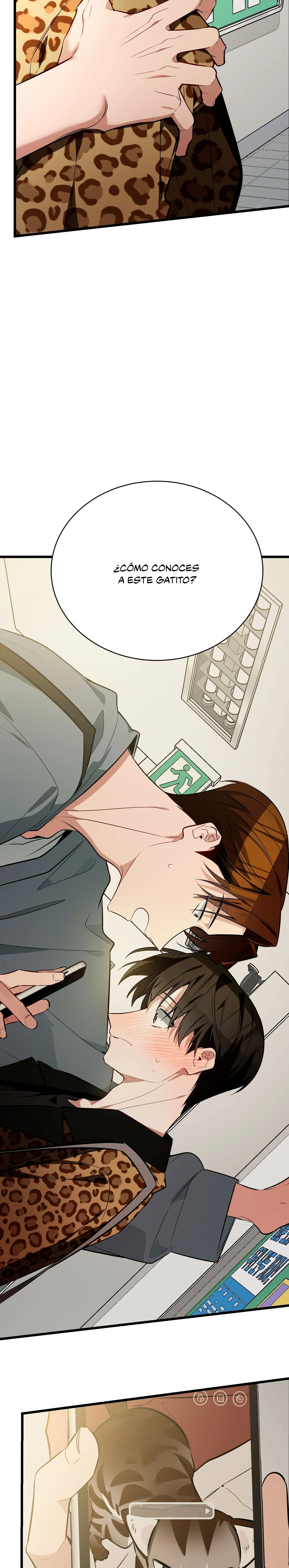 46 ¡Dame un cachorro leopardo si no quieres verme enloquecer!