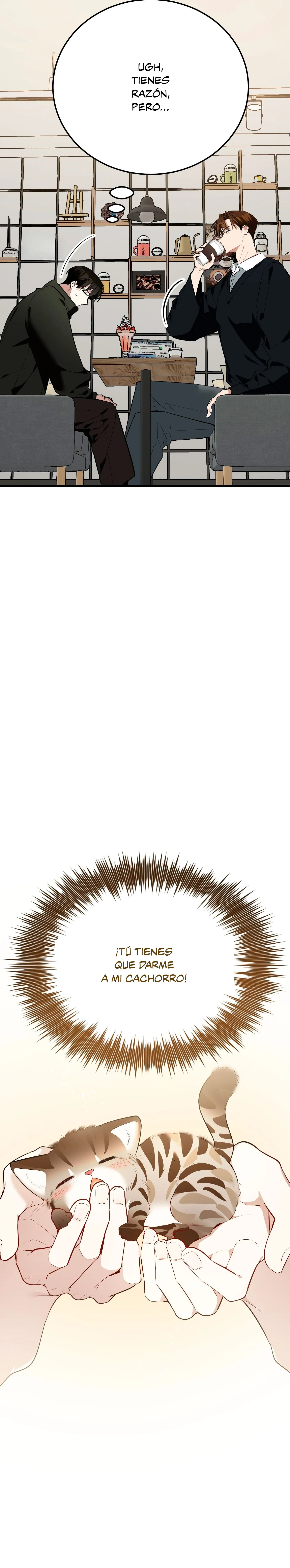 33 ¡Dame un cachorro leopardo si no quieres verme enloquecer!