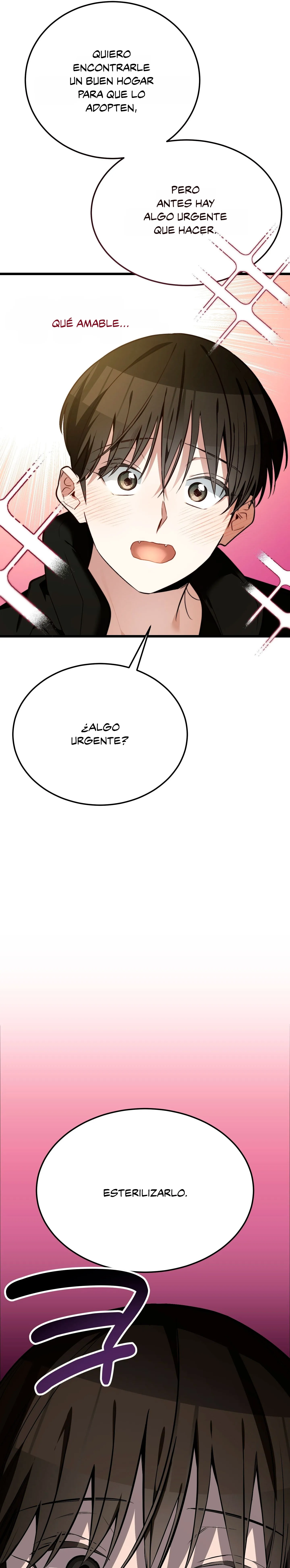 13 ¡Dame un cachorro leopardo si no quieres verme enloquecer!