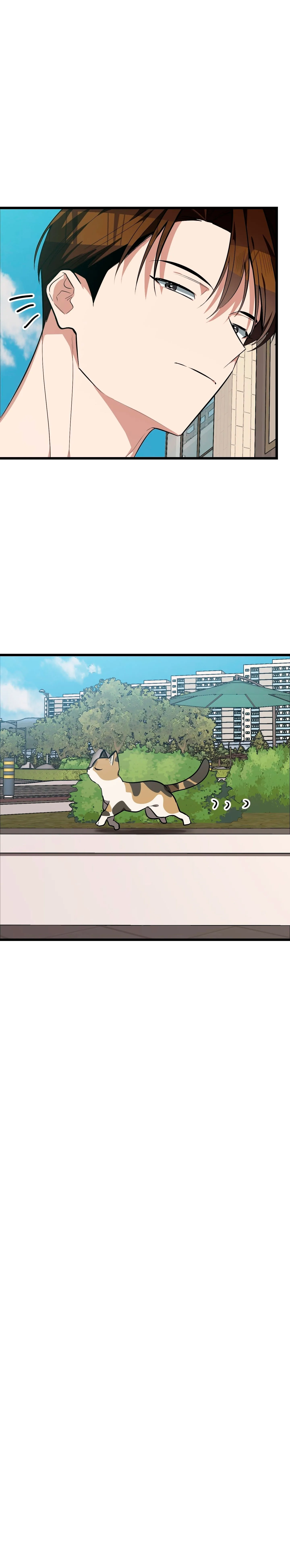 7 ¡Dame un cachorro leopardo si no quieres verme enloquecer!