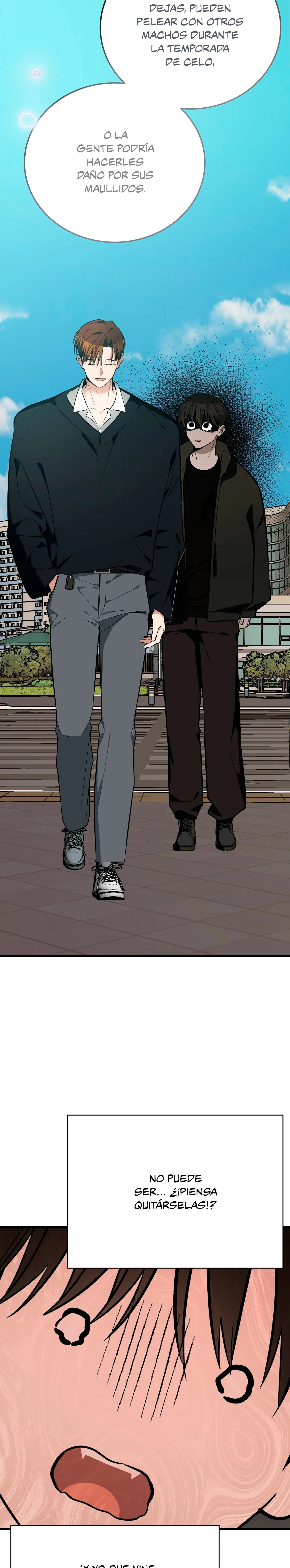 15 ¡Dame un cachorro leopardo si no quieres verme enloquecer!