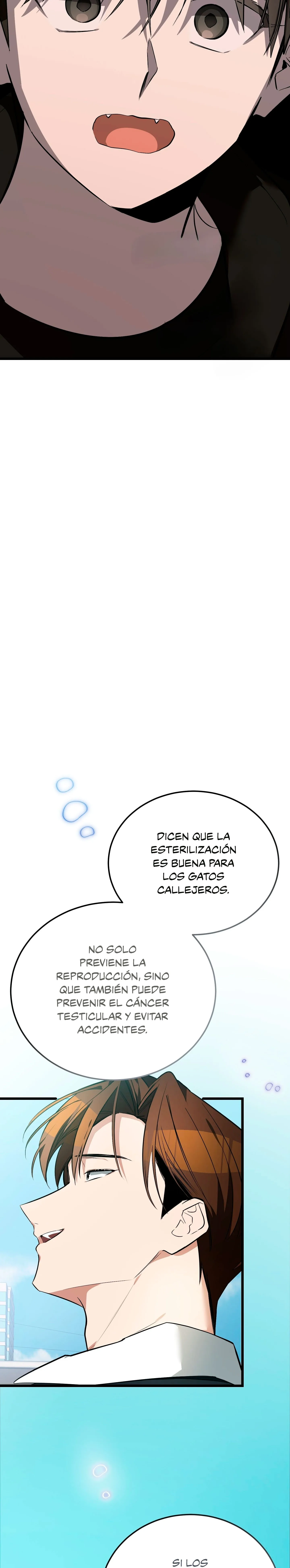 14 ¡Dame un cachorro leopardo si no quieres verme enloquecer!