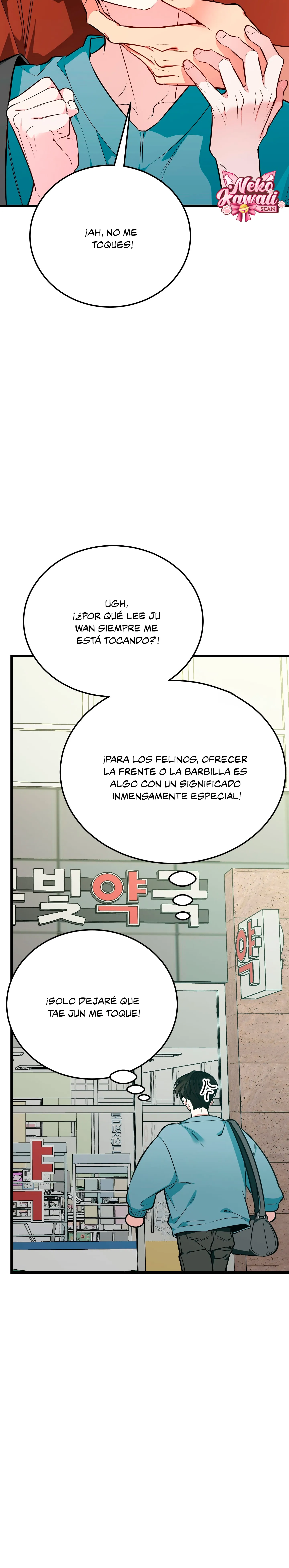 46 ¡Dame un cachorro leopardo si no quieres verme enloquecer!