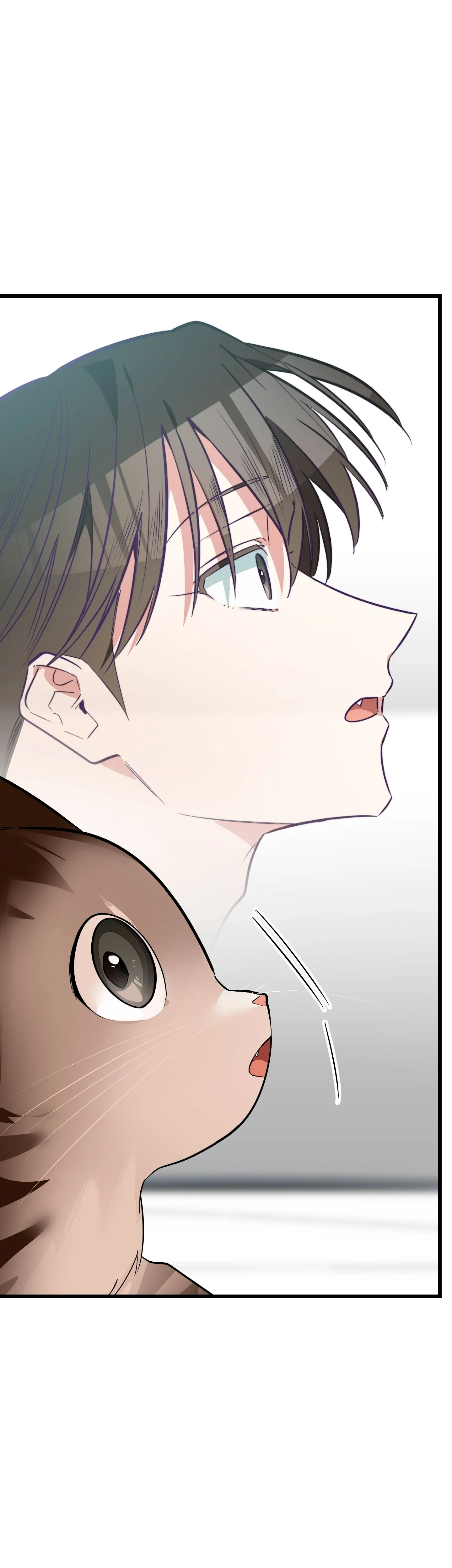 58 ¡Dame un cachorro leopardo si no quieres verme enloquecer!