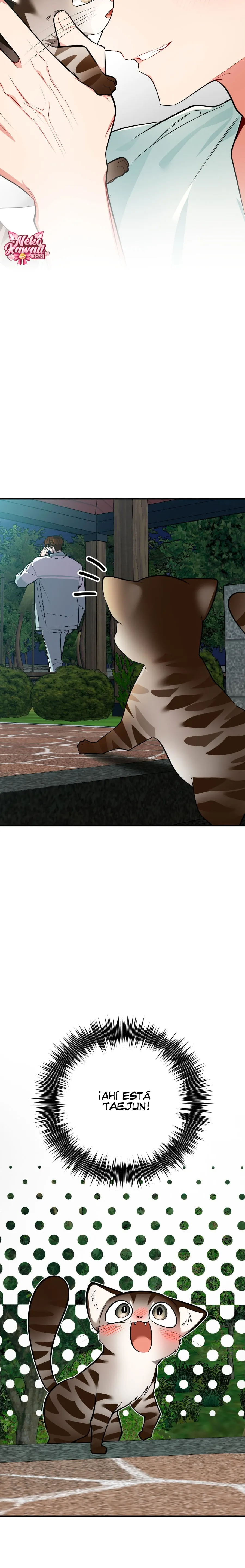 2 ¡Dame un cachorro leopardo si no quieres verme enloquecer!