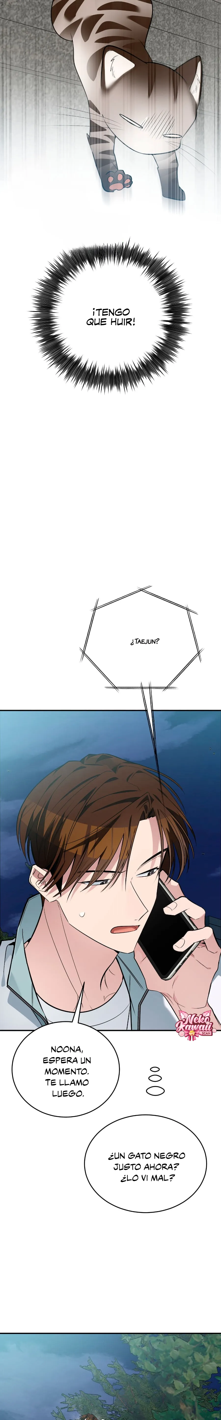 6 ¡Dame un cachorro leopardo si no quieres verme enloquecer!