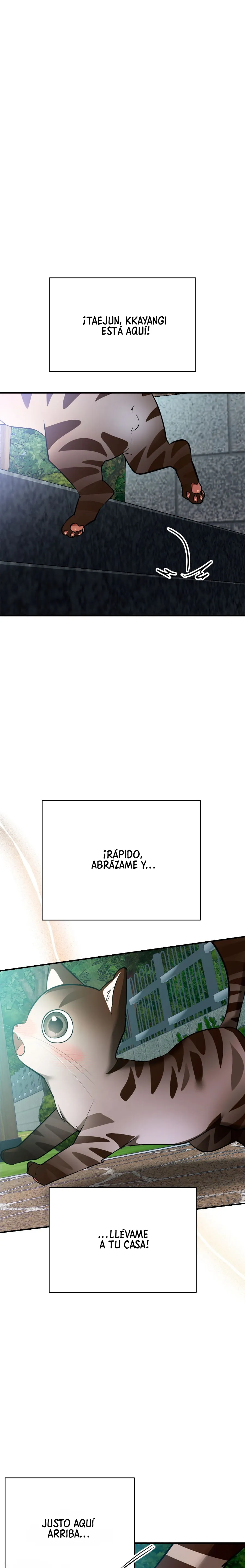 3 ¡Dame un cachorro leopardo si no quieres verme enloquecer!