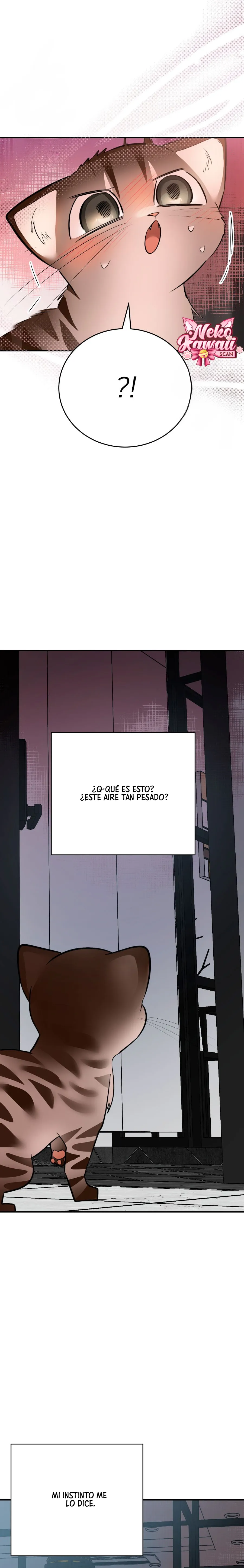 33 ¡Dame un cachorro leopardo si no quieres verme enloquecer!