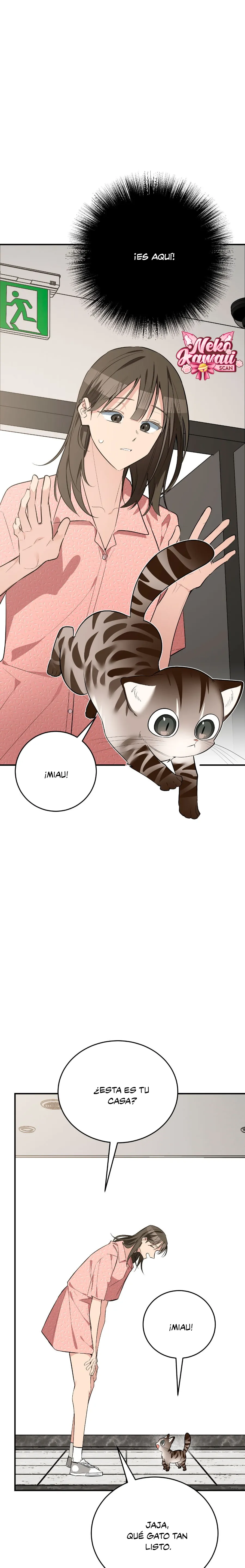 30 ¡Dame un cachorro leopardo si no quieres verme enloquecer!