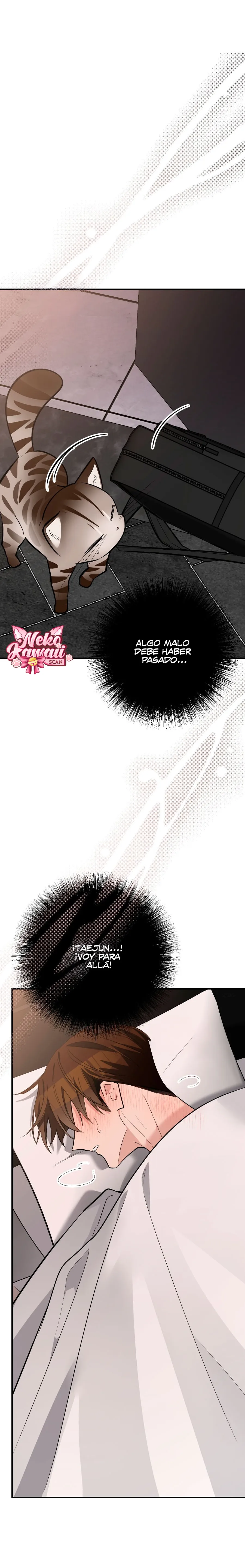 35 ¡Dame un cachorro leopardo si no quieres verme enloquecer!