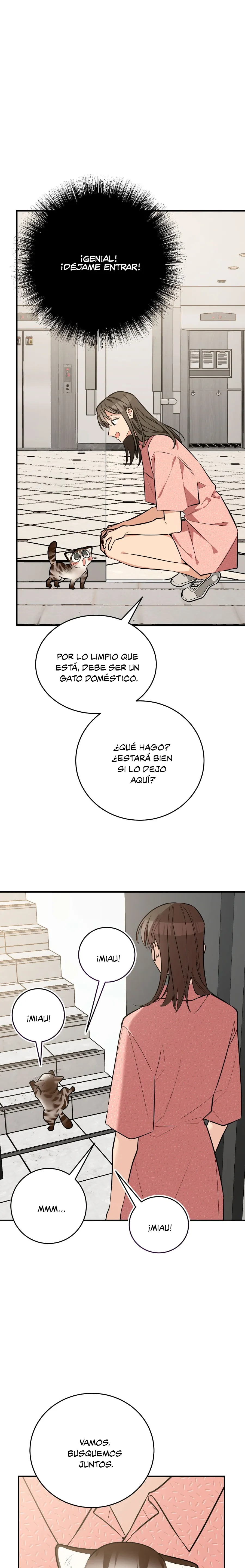 28 ¡Dame un cachorro leopardo si no quieres verme enloquecer!