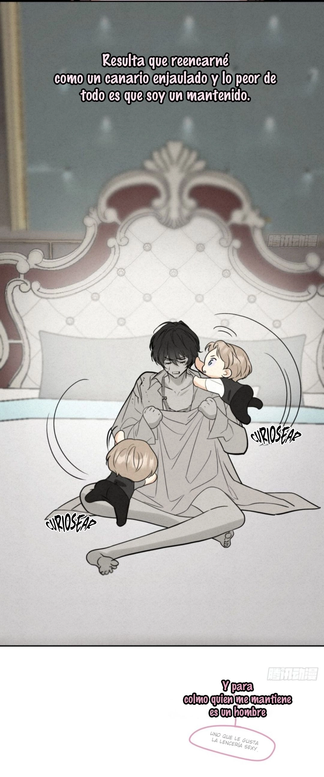 6 Reencarné en el Gran  Ganso Dorado del alfa dominante