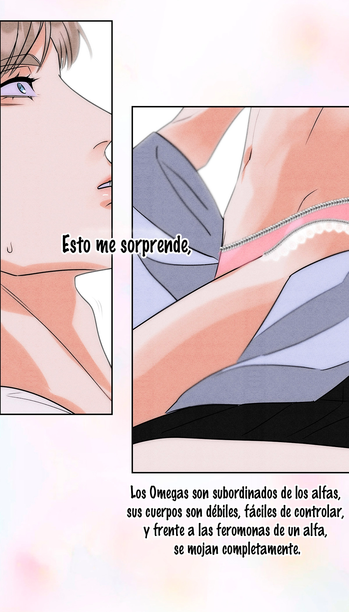 41 Reencarné en el Gran  Ganso Dorado del alfa dominante