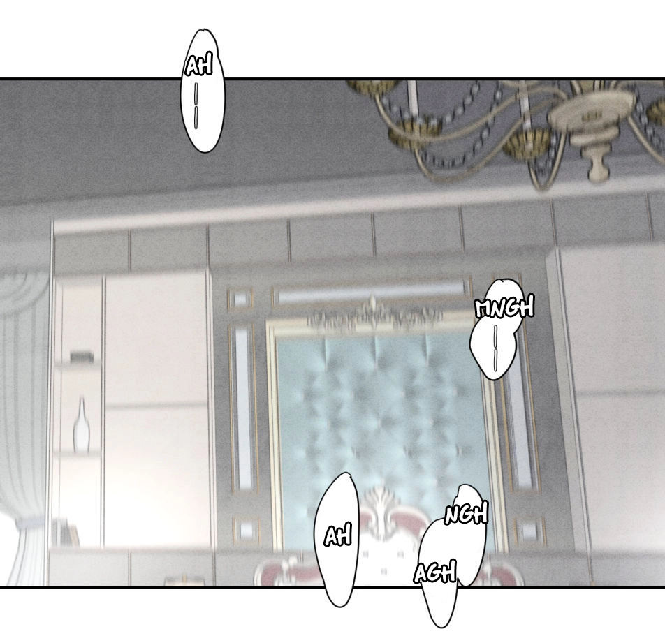 3 Reencarné en el Gran  Ganso Dorado del alfa dominante