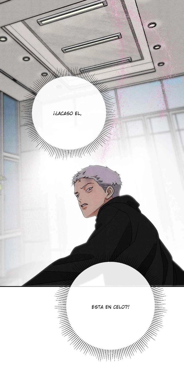 35 Reencarné en el Gran  Ganso Dorado del alfa dominante