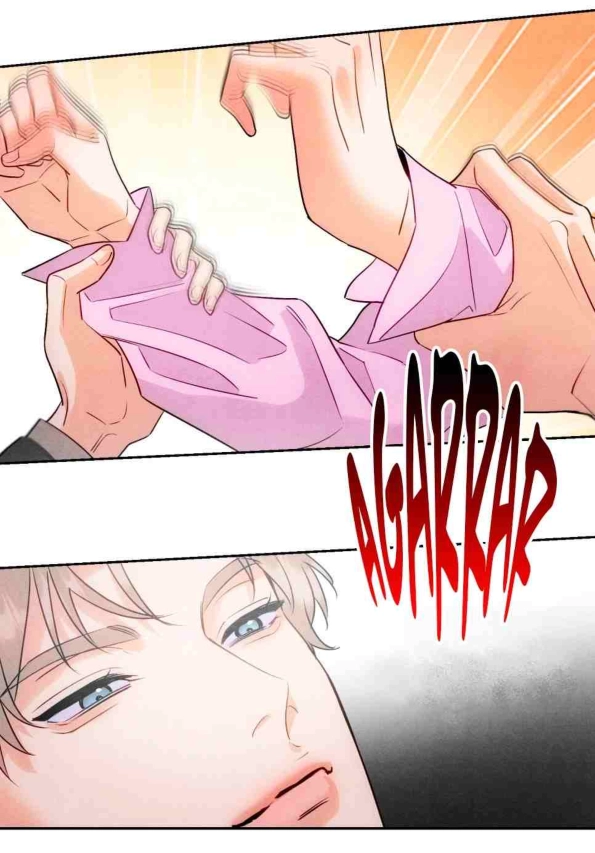 27 Reencarné en el Gran  Ganso Dorado del alfa dominante