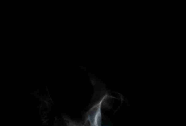 32 Reencarné en el Gran  Ganso Dorado del alfa dominante