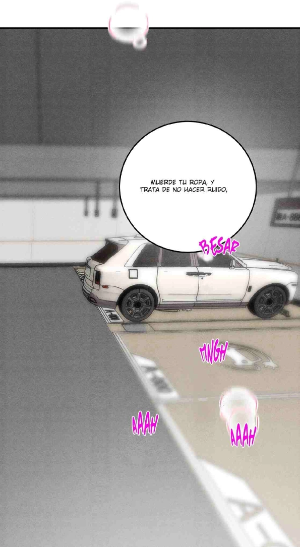 57 Reencarné en el Gran  Ganso Dorado del alfa dominante