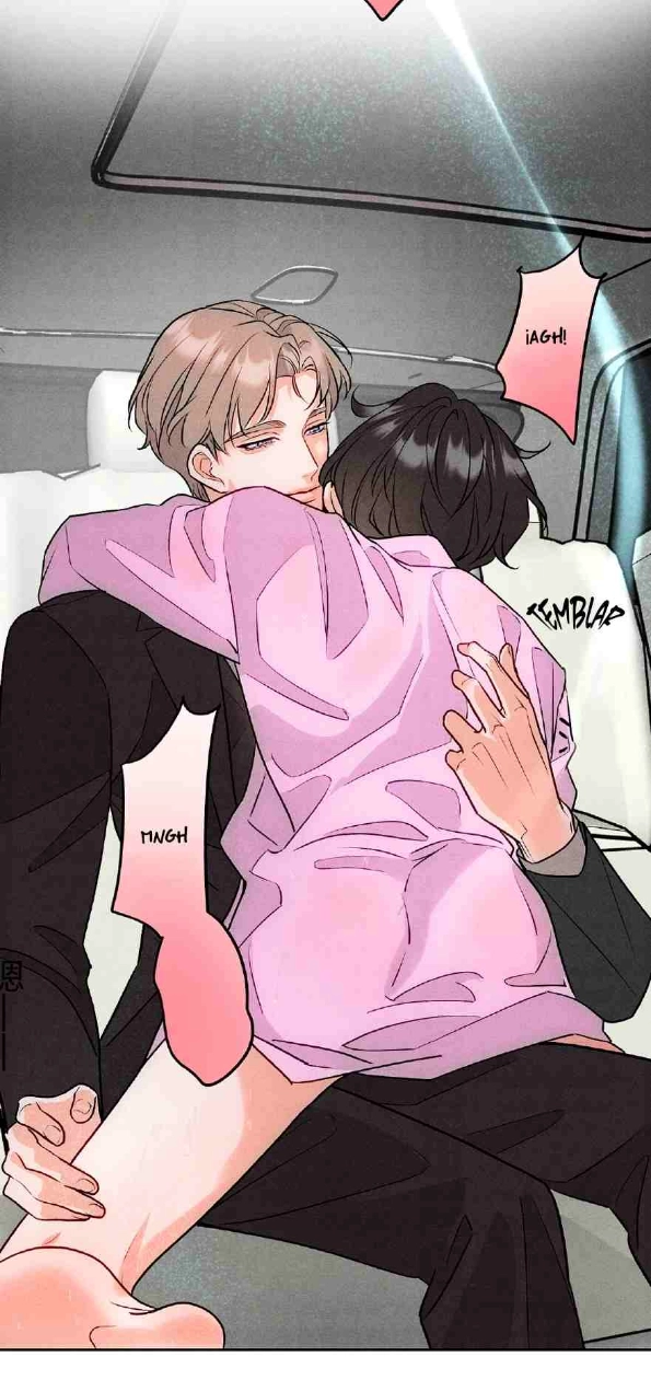 38 Reencarné en el Gran  Ganso Dorado del alfa dominante