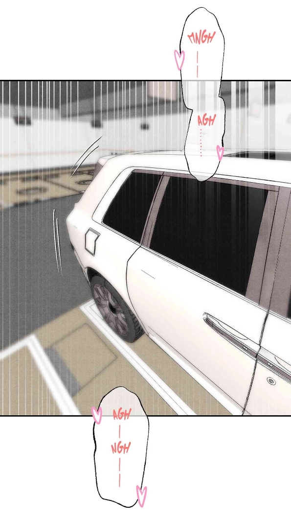 54 Reencarné en el Gran  Ganso Dorado del alfa dominante