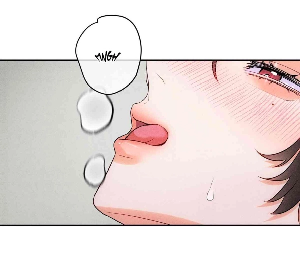 19 Reencarné en el Gran  Ganso Dorado del alfa dominante