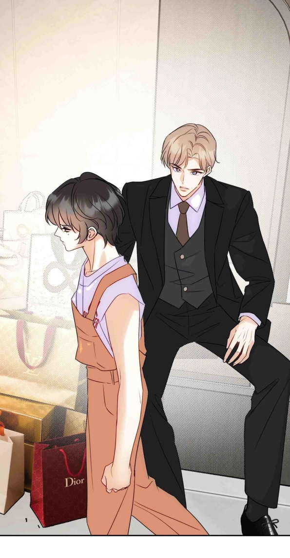 41 Reencarné en el Gran  Ganso Dorado del alfa dominante