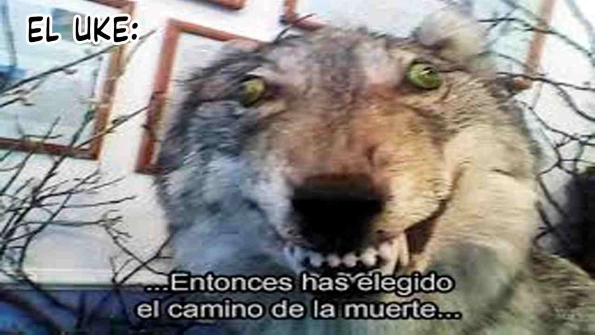 55 Reencarné en el Gran  Ganso Dorado del alfa dominante