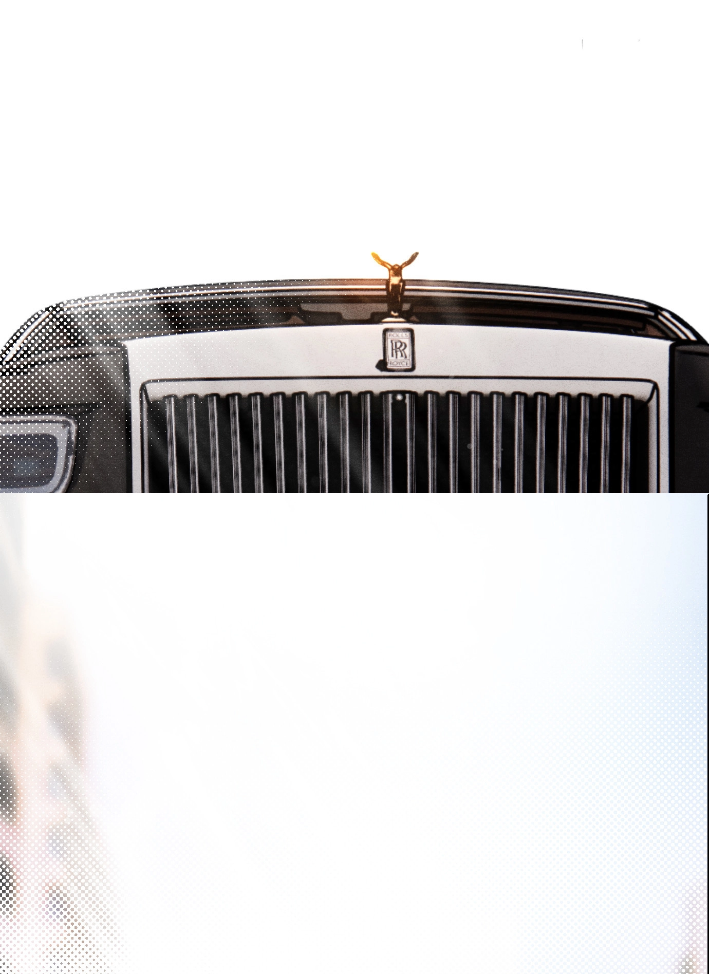 5 Reencarné en el Gran  Ganso Dorado del alfa dominante