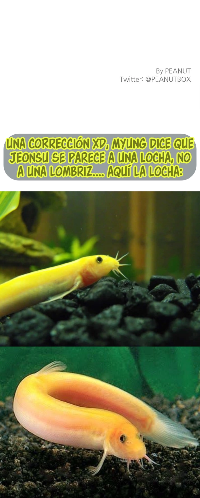 8 Un amor digno de fama