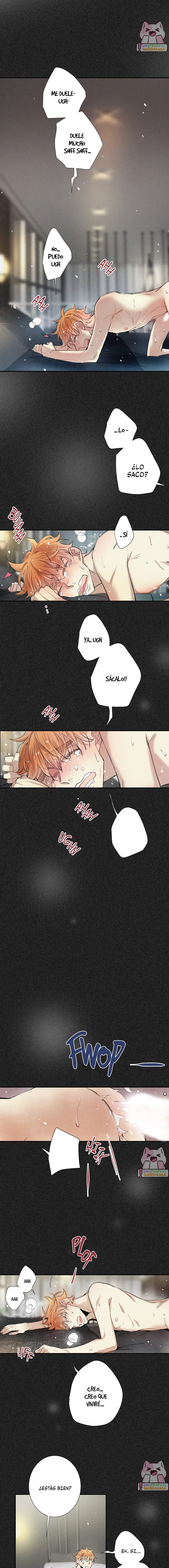 8 Un amor digno de fama