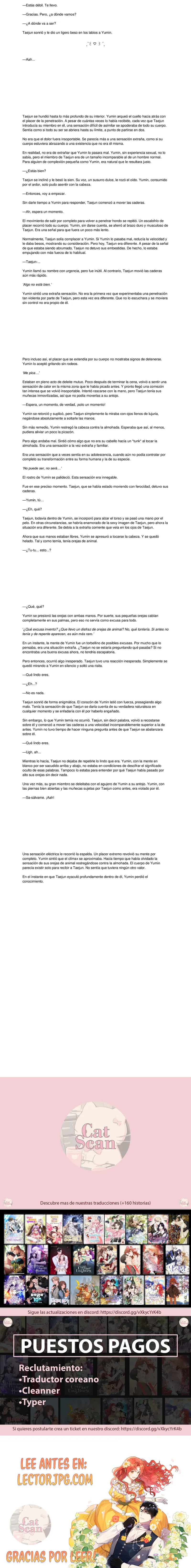 4 ¡Dame un bebé lince si no quieres verme volverme loco! Novela