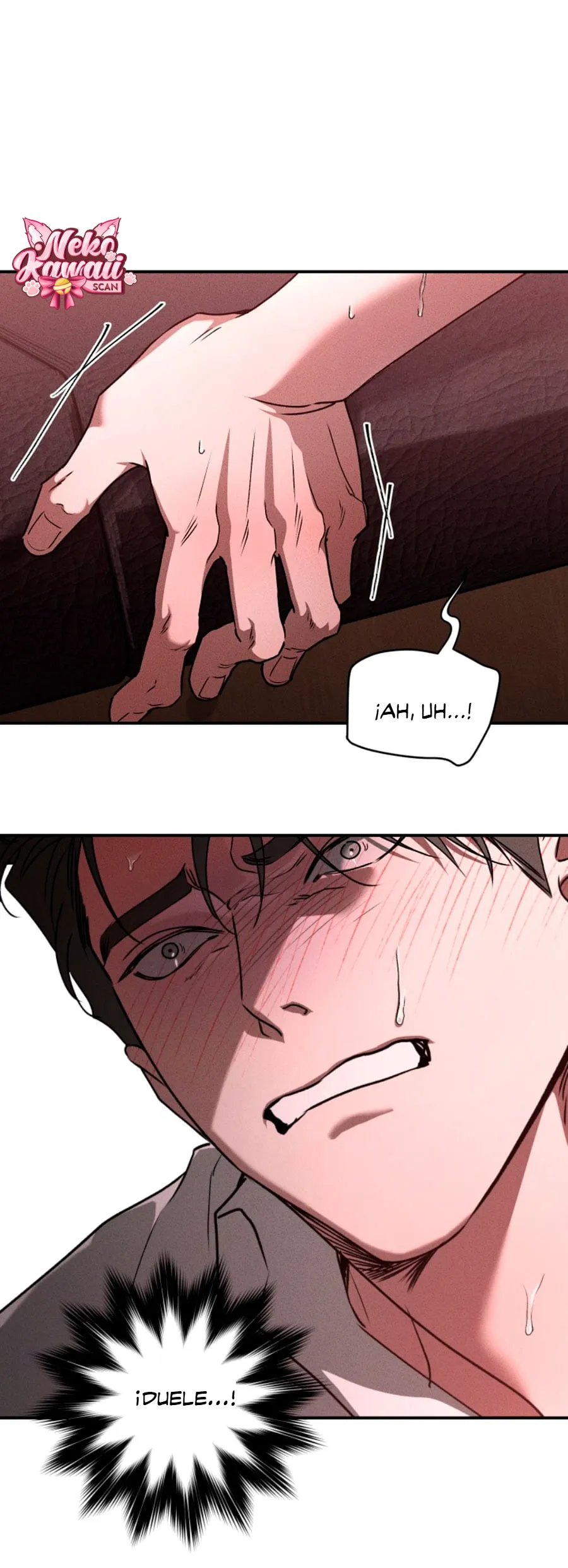 1 Deudor responsable