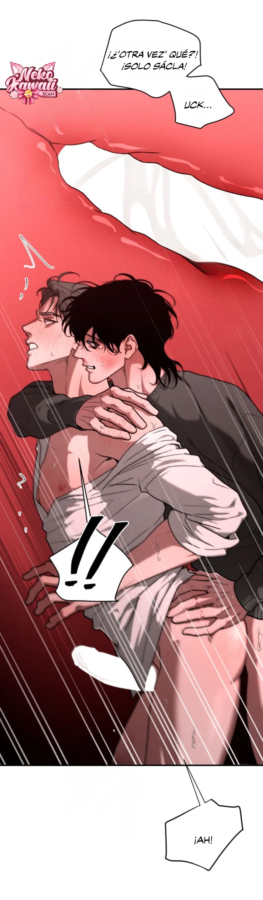 5 Deudor responsable