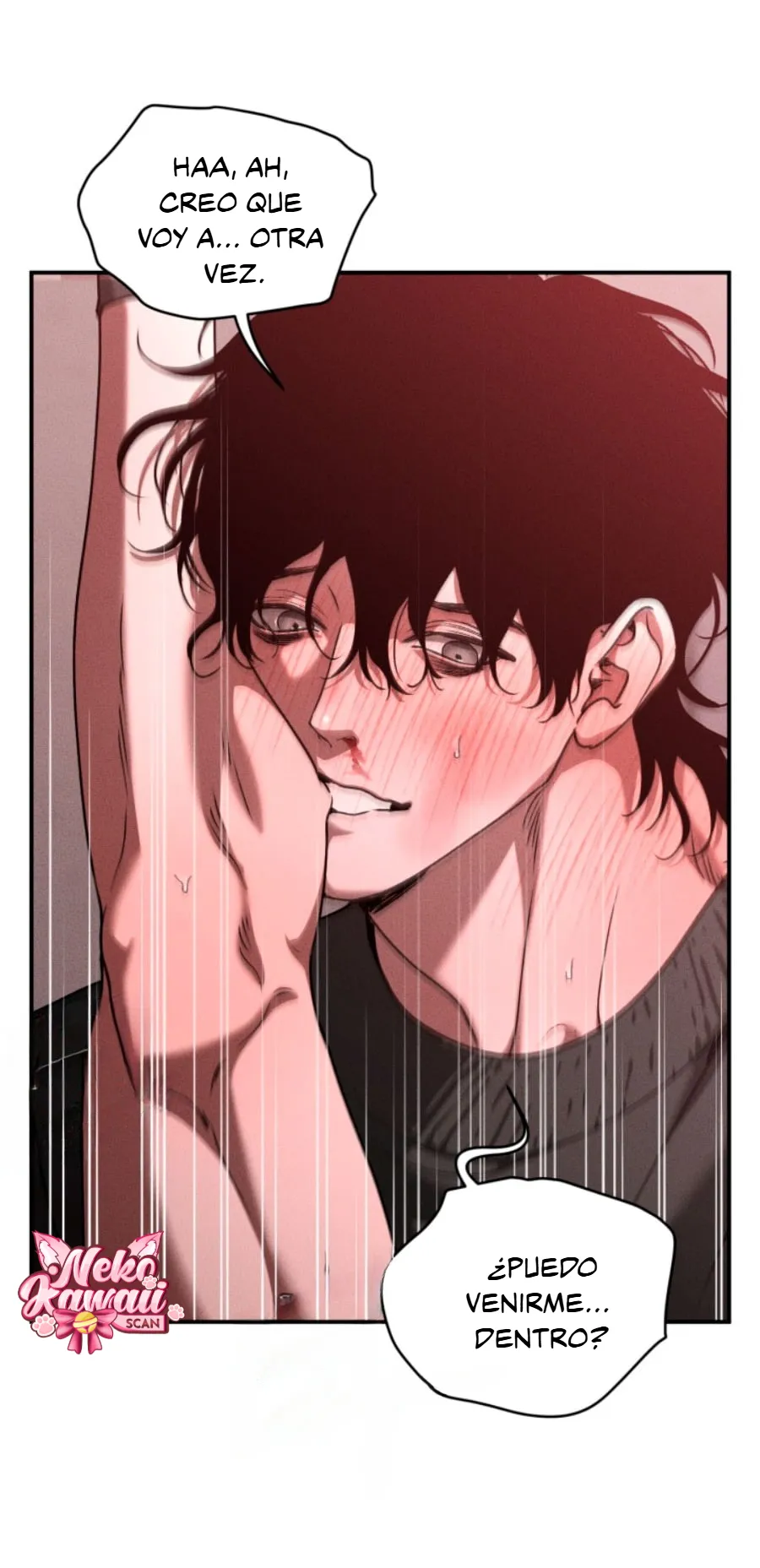 14 Deudor responsable