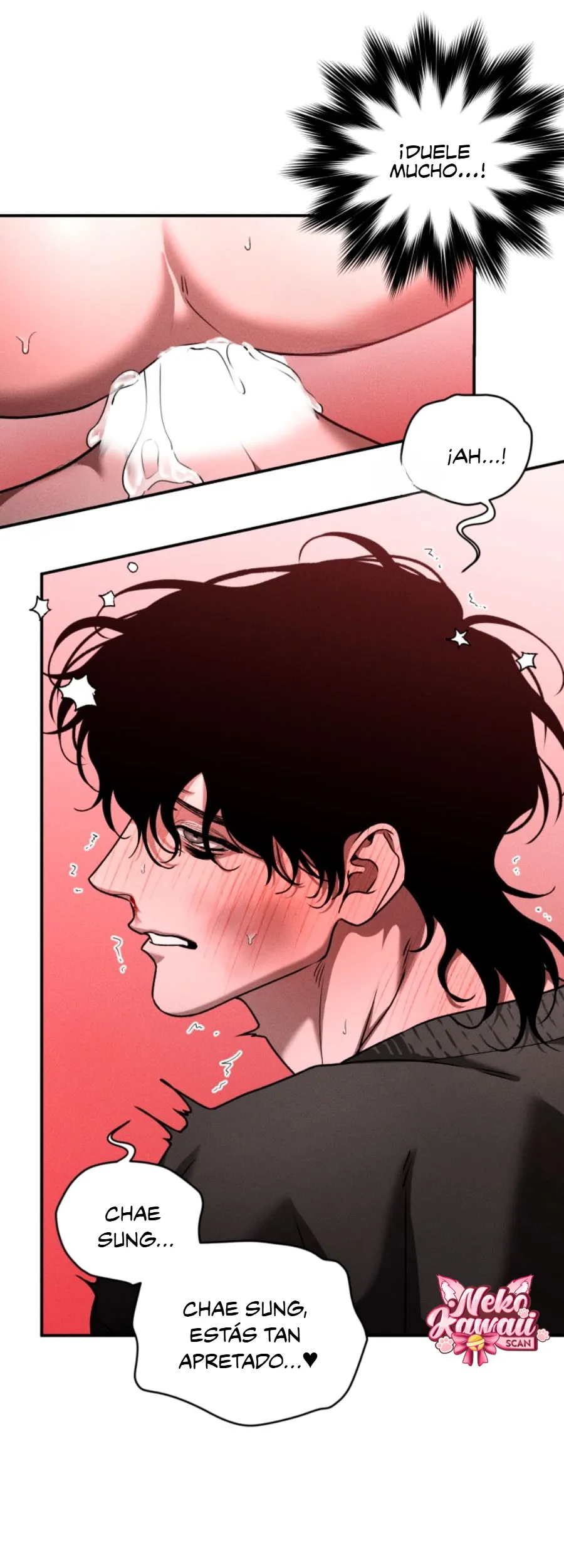 2 Deudor responsable