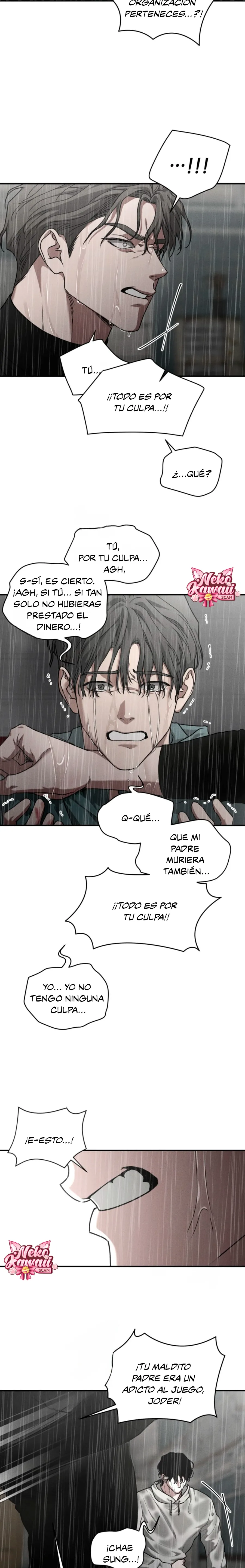 5 Deudor responsable