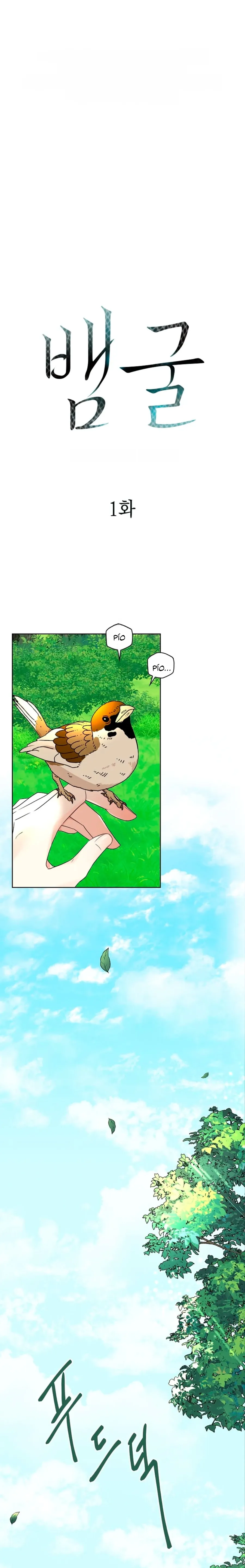 0 El agujero de la serpiente