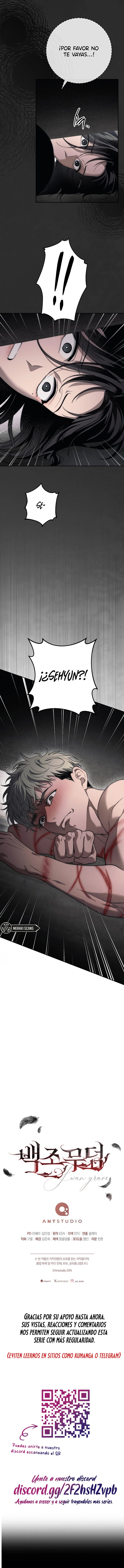 12 La tumba de los cisnes