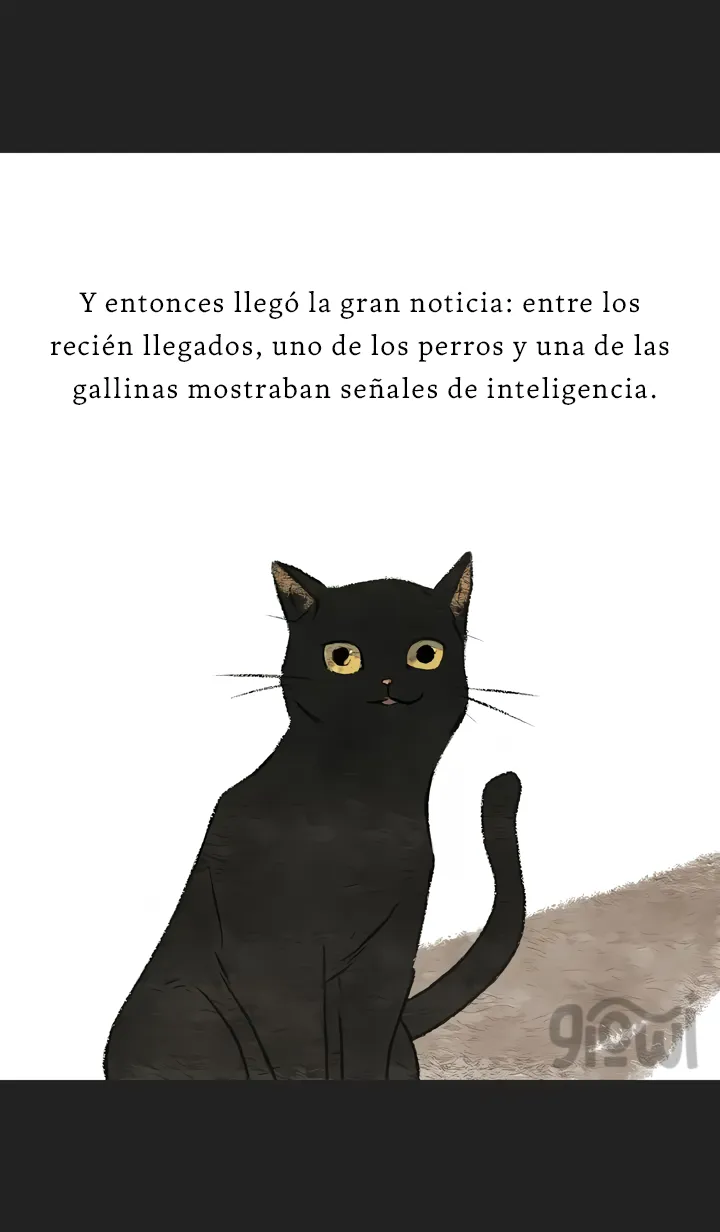 14 Relato Felino