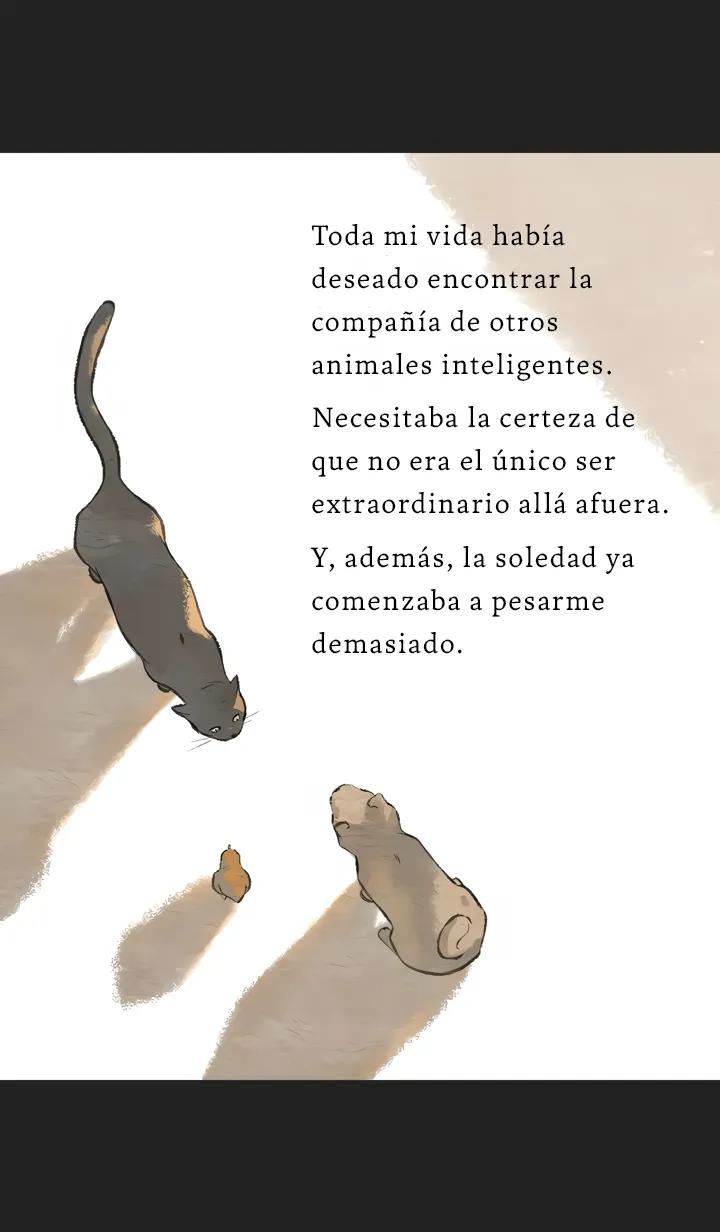 15 Relato Felino
