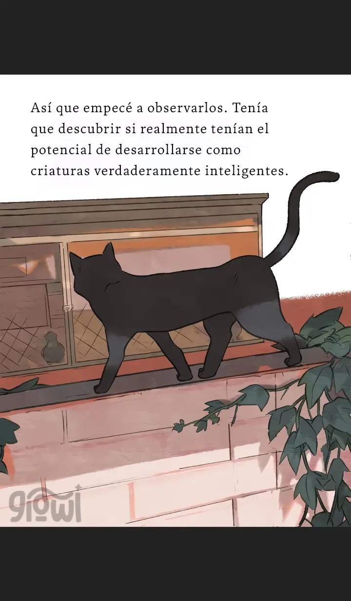 16 Relato Felino