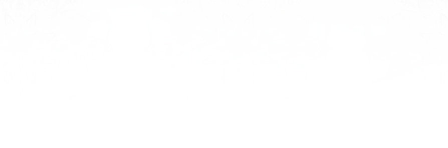 79 El tiempo de la bestia ciega