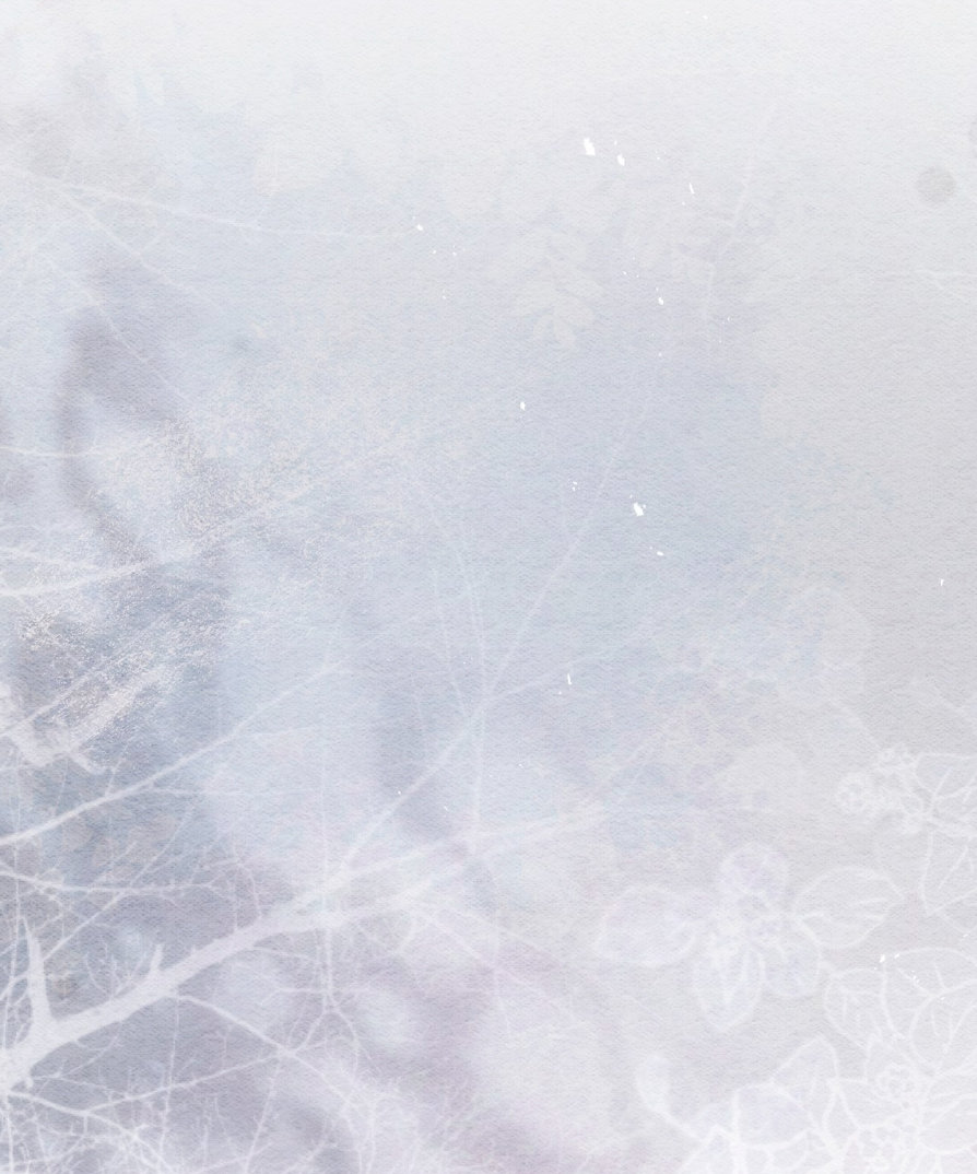 11 El tiempo de la bestia ciega