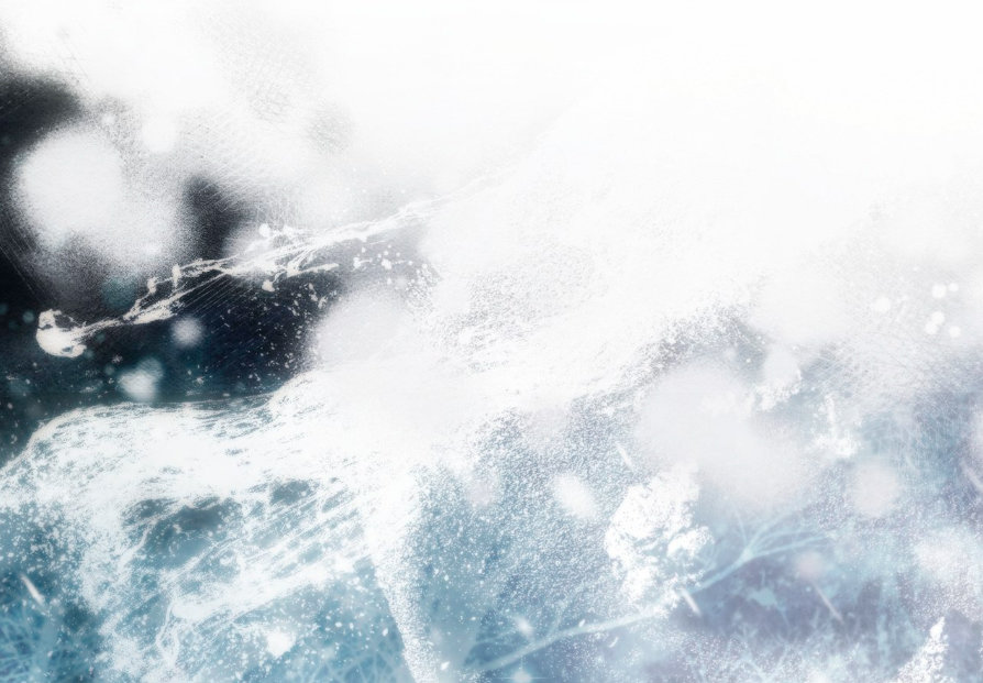 16 El tiempo de la bestia ciega