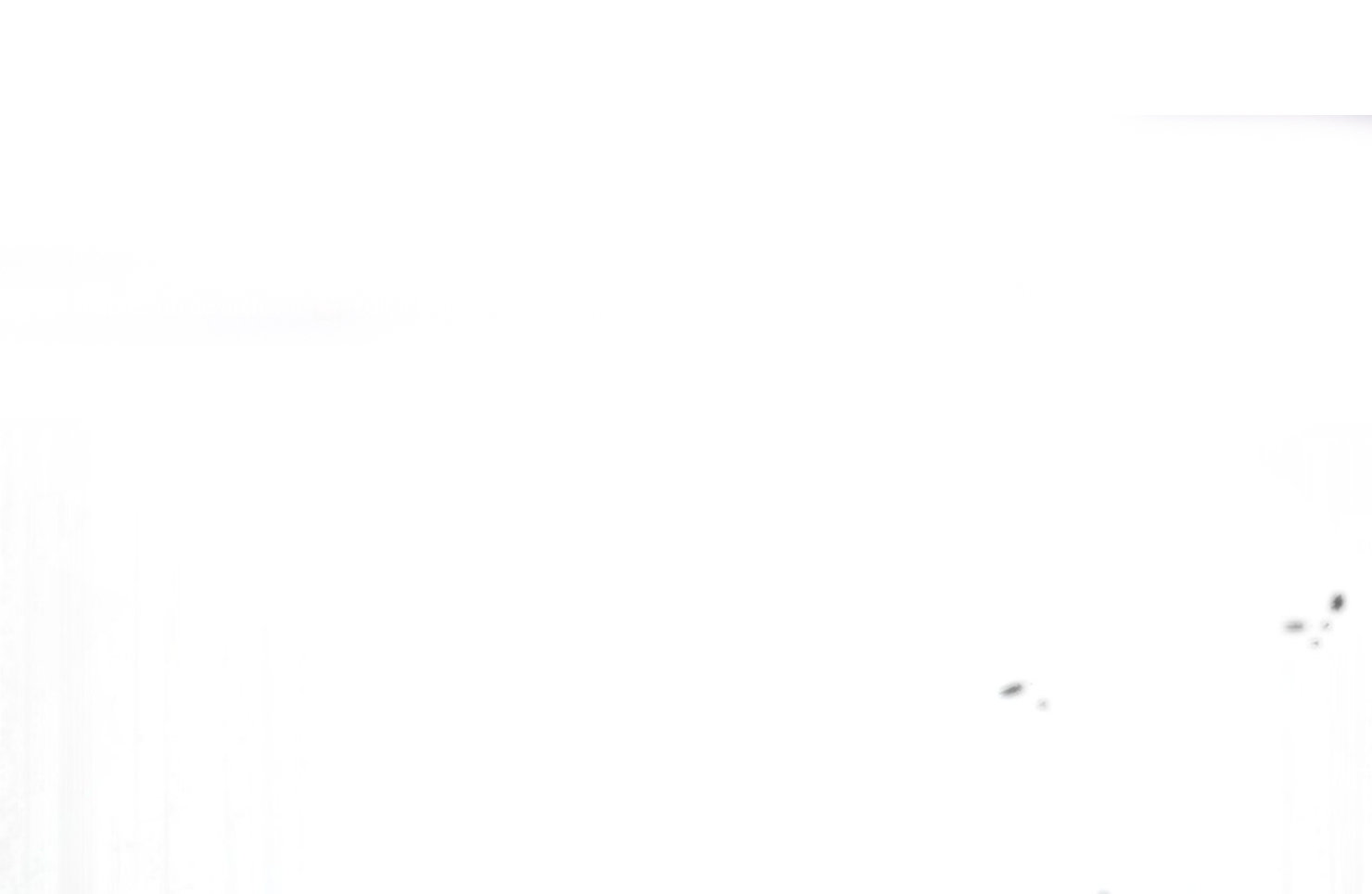 39 El tiempo de la bestia ciega